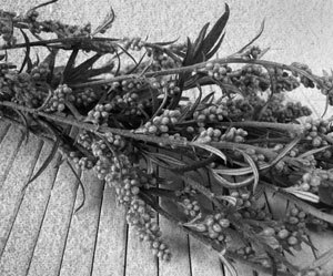 Советское домоводство - i_117.jpg