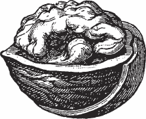 Обед для Льва. Кулинарная книга Софьи Андреевны Толстой - _14.png