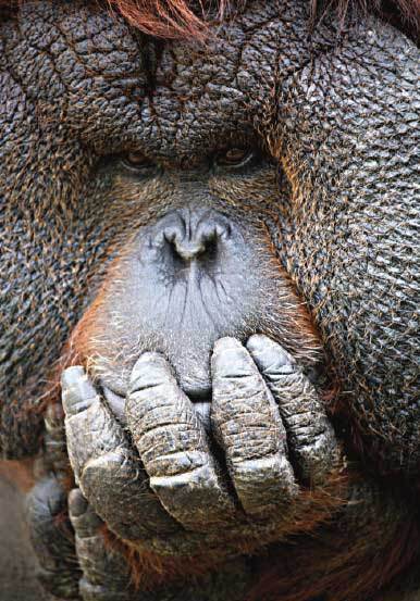 Подарок мужчине моей мечты - i_002.jpg