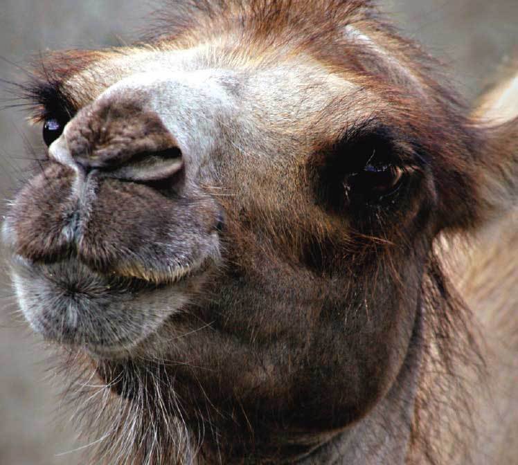 Подарок мужчине моей мечты - i_024.jpg