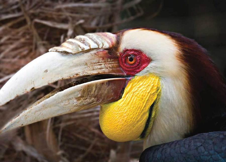 Подарок мужчине моей мечты - i_038.jpg