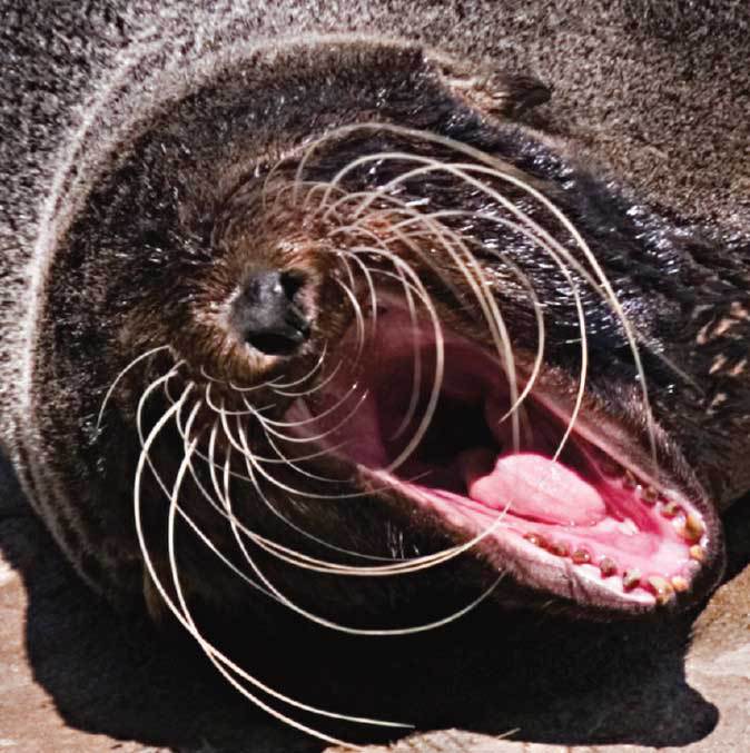 Подарок мужчине моей мечты - i_041.jpg