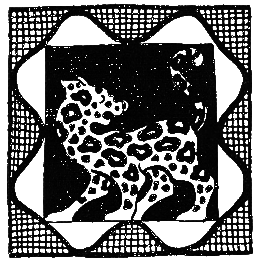 Бразильские сказки и легенды - _027.png