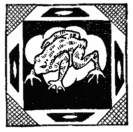 Бразильские сказки и легенды - _028.png