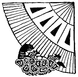 Бразильские сказки и легенды - _030.png