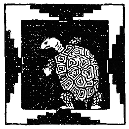 Бразильские сказки и легенды - _031.png