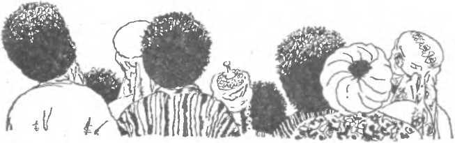 Ленивый Мурад - image24.jpg