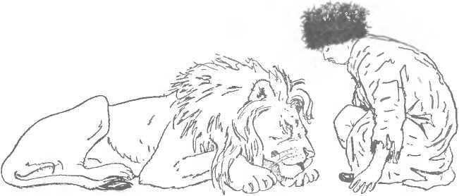 Ленивый Мурад - image37.jpg