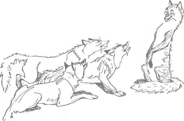 Ленивый Мурад - image41.jpg