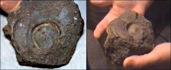 Война миров. Том 1 - i_201.jpg