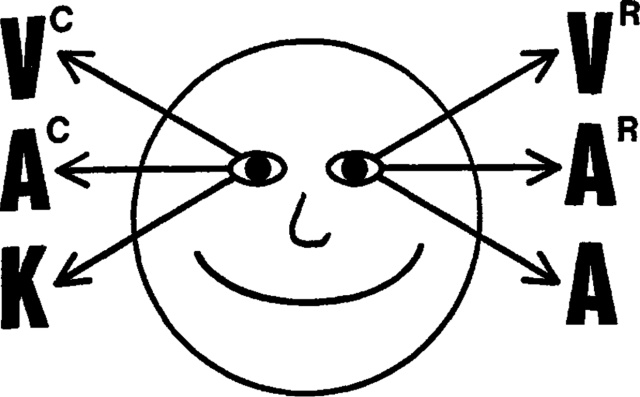 Frogs into Princes: Neuro Linguistic Programming - cues.jpg