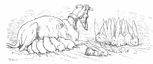 Aventures Et Mésaventures Du Baron De Münchhausen (illustre) - pic_22.jpg