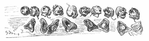 Aventures Et Mésaventures Du Baron De Münchhausen (illustre) - pic_67.jpg