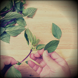 Cooking with spice mixes, pastes and sauces - _16.jpg