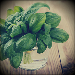 Cooking with spice mixes, pastes and sauces - _18.jpg