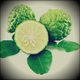 Cooking with spice mixes, pastes and sauces - _71.jpg