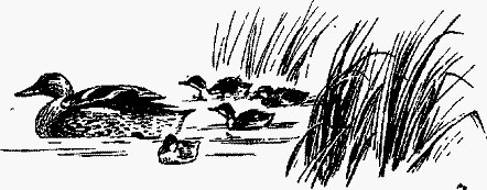 Волшебный браслет - i_042.png