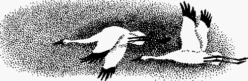 Волшебный браслет - i_061.png