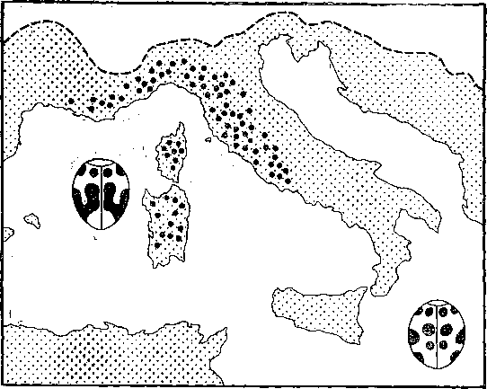 Фенетика - i_020.png