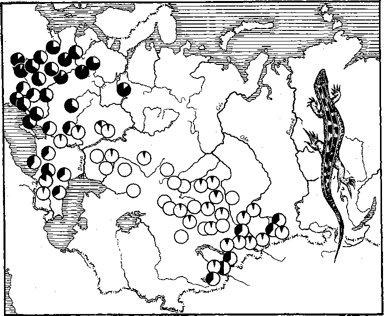 Фенетика - i_021.png