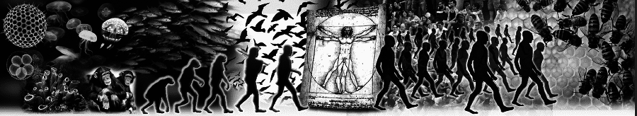 журнал фантастики «Космопорт» 2015 № 1(14) - i_018.png