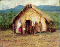 К вулканам Тихого океана - i_006.jpg