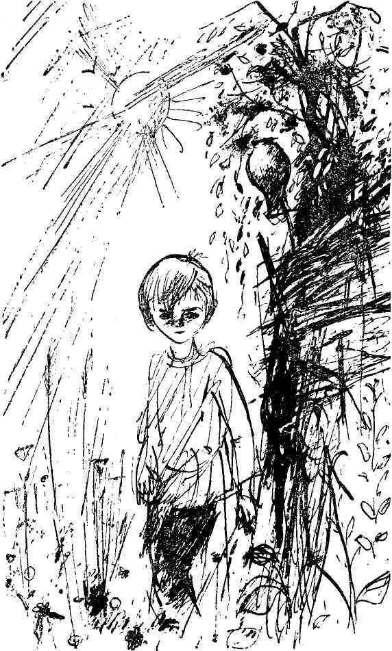 Судьба Алексея Ялового (сборник) - img_3.jpeg