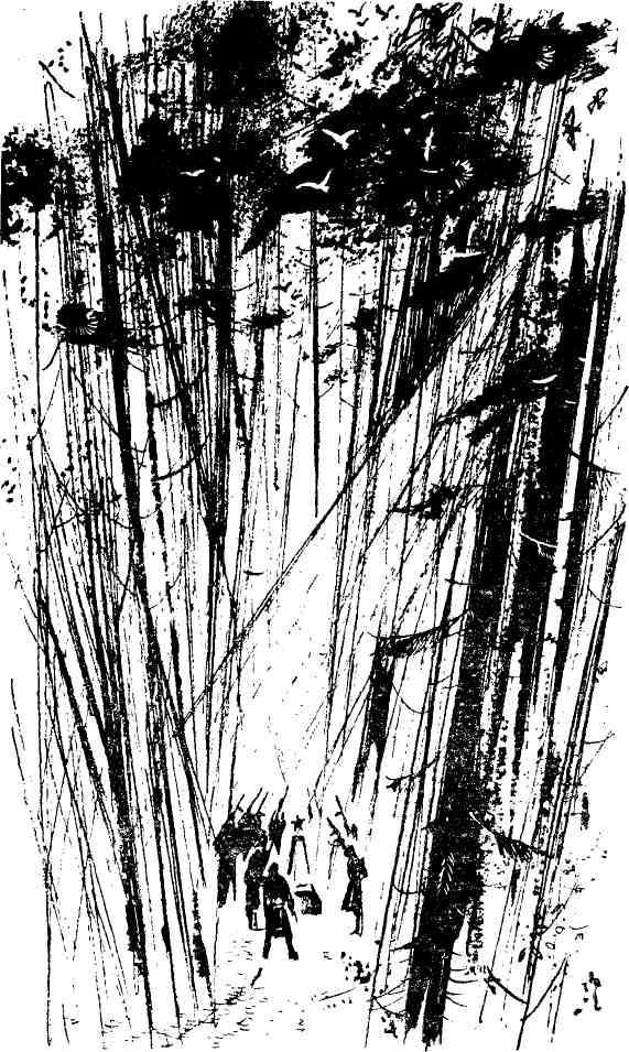 Судьба Алексея Ялового (сборник) - img_9.jpeg