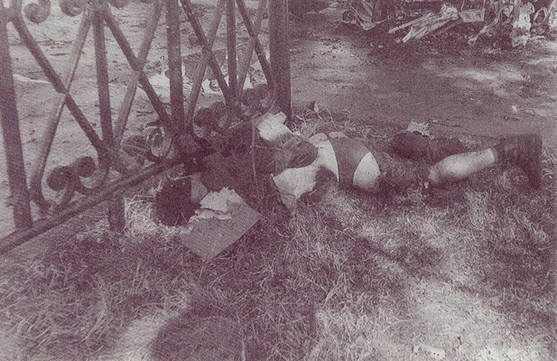 Волчья стая. Кровавый след террора - _5.jpg