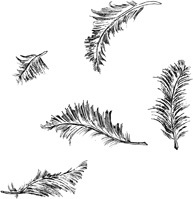 Путь торговли - i_006.jpg