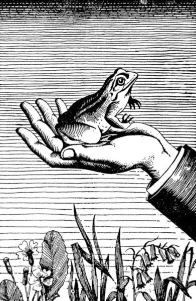 Очень долгий путь<br />(Из истории хирургии) - i_008.jpg