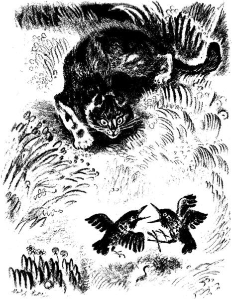 Кто умней<br />(Рассказы) - i_012.jpg