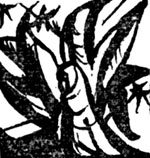 Перед грозой - i_020.jpg