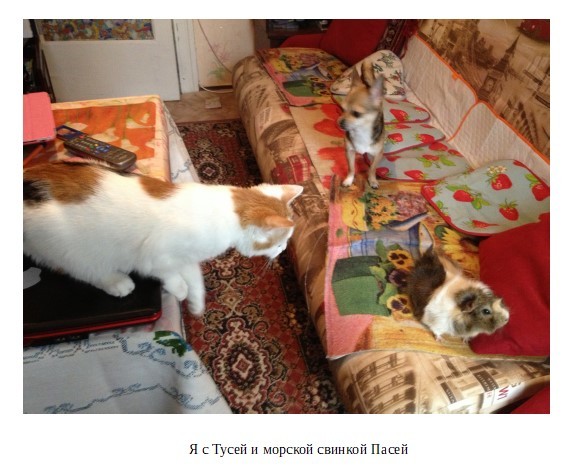 Я – Малыш. Семейные истории - _3.jpg