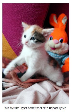 Я – Малыш. Семейные истории - _5.jpg