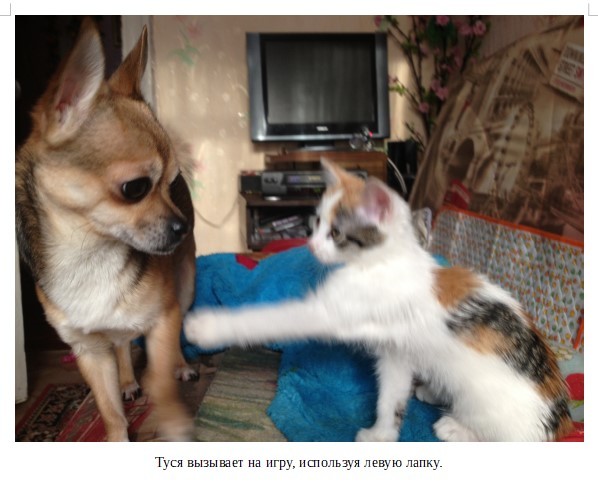 Я – Малыш. Семейные истории - _8.jpg