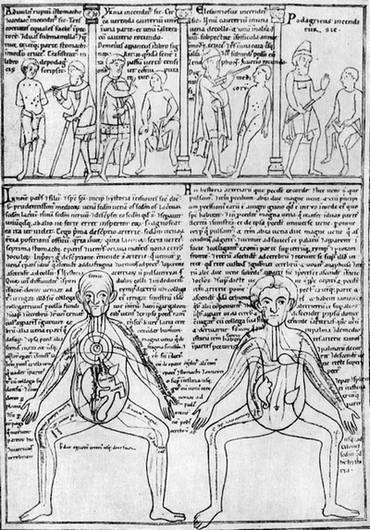 Западная Европа XI-XIII веков - _073.jpg