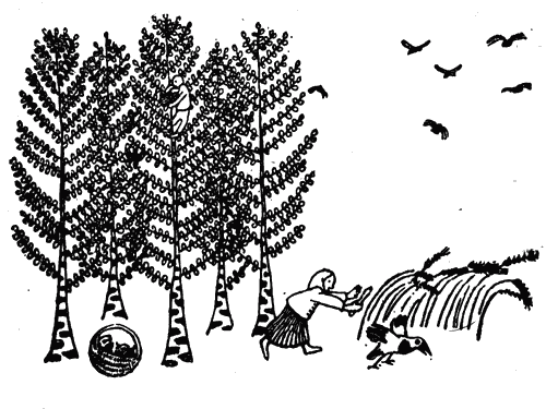 Белая книга - i_023.png