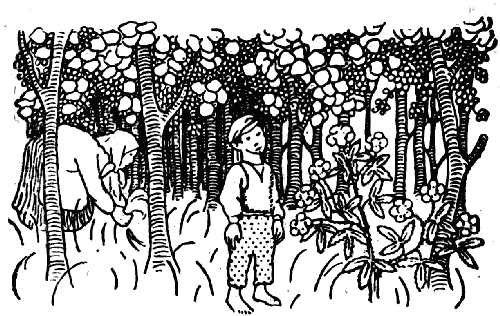 Белая книга - i_027.png