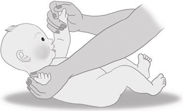 Мой умный малыш. Развитие ребенка от рождения до пяти лет - i_022.jpg