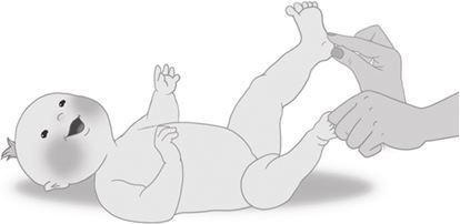 Мой умный малыш. Развитие ребенка от рождения до пяти лет - i_036.jpg