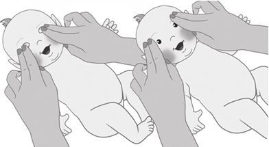 Мой умный малыш. Развитие ребенка от рождения до пяти лет - i_040.jpg