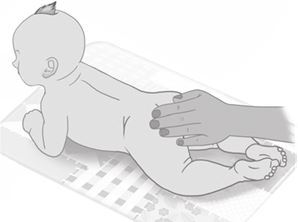 Мой умный малыш. Развитие ребенка от рождения до пяти лет - i_042.jpg