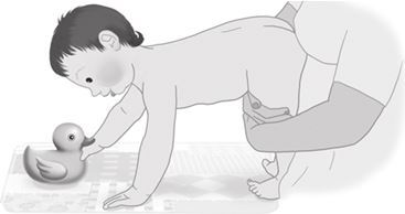 Мой умный малыш. Развитие ребенка от рождения до пяти лет - i_088.jpg