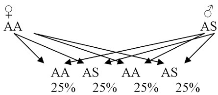 О первородстве великороссов и о вреде мутаций. Часть 1 - i_008.jpg