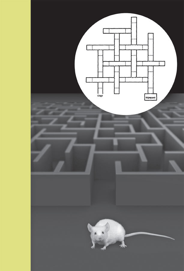 Психология за минуту - i_012.jpg