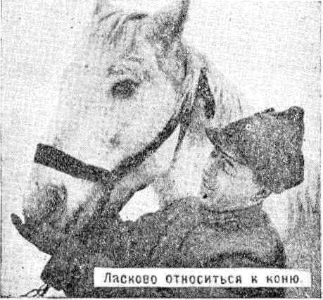 Боевой товарищ<br />(Лошадь и уход за ней) - i_004.jpg