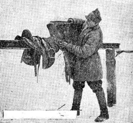 Боевой товарищ<br />(Лошадь и уход за ней) - i_010.jpg