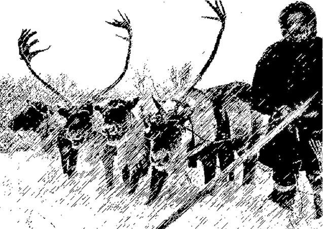 Недвижимость в России: построй, продай, заработай! - i_005.jpg