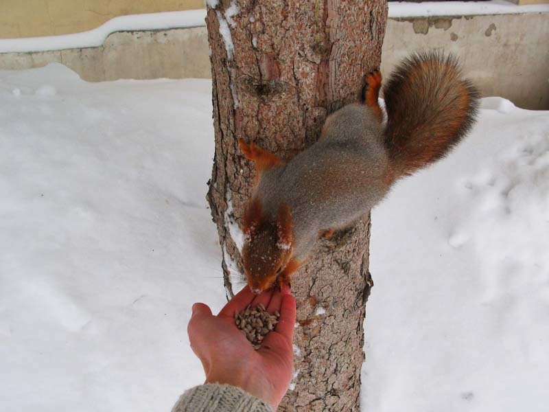 Леша, зверушки и домашние животные. Забавные истории - _5.jpg